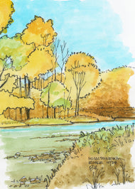 Mississinewa River October 2024