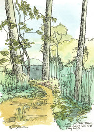 Mississinewa Rec Area - Lost Sister Trail