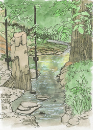 Stream on the Nickel Plate Trail