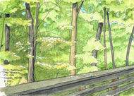 Sun Through the Trees on the Nickel Plate Trail