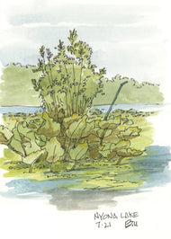 Nyona Lake July 2021