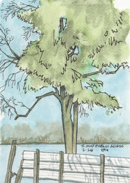 Nyona Lake South Mud Public Access Feb 2025