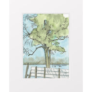 Nyona Lake South Mud Public Access Feb 2025