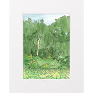 Nyona Lake Lily Pads