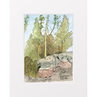 Lower Geyser Basin, Yellowstone, Oct 2025