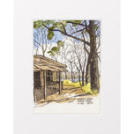 Potato Creek State Park Apr 2025