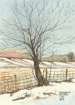 Fence Row On 650, Jan 2026