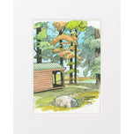 Mississinewa Cabin