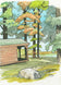 Mississinewa Cabin