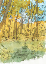 Sun Through the Trees at Seven Pillars