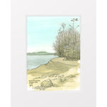 Mississinewa Winter Pool Nov 2025