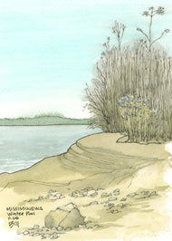 Mississinewa Winter Pool Nov 2025