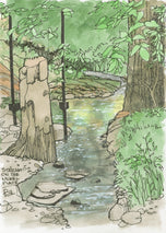 Stream on the Nickel Plate Trail