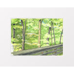 Sun Through the Trees on the Nickel Plate Trail