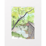 Nickel Plate at the Eel