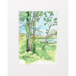 Nickel Plate Wetlands