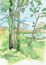 Nickel Plate Wetlands