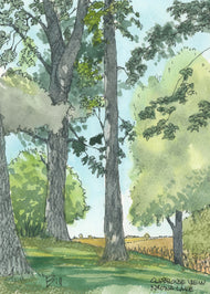 Nyona Lake Clubhouse View