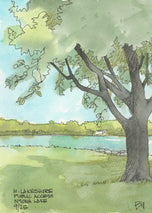 Nyona Lake N Lakeshore Public Access