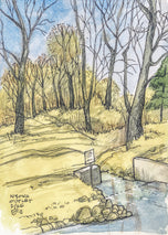 Nyona Lake Outlet 2025