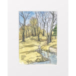 Nyona Lake Outlet 2025