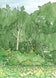 Nyona Lake Lily Pads