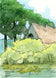 Nyona Shoreline - May 2023