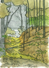 Racoon Lake Rec Area 2 - June 2023