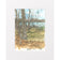 Spring Woods Apr 2020