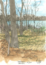 Spring Woods Apr 2020