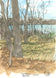 Spring Woods Apr 2020