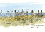 St. George Island Beach Fence