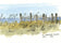 St. George Island Beach Fence