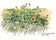 St. George Island Flowers Oct 2021