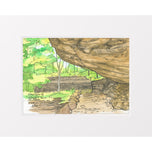 Canyon at Turkey Run 2, Indiana - May 2025