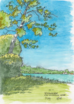 Sycamore on Winona Lake