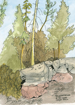 Lower Geyser Basin, Yellowstone, Oct 2025