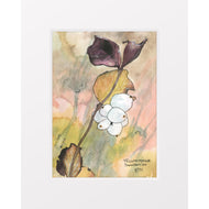 Snow Berries, Yellowstone, Oct 2025